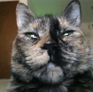 Meet your Posher, Pat